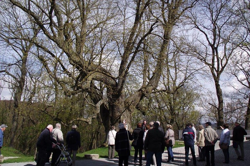Landsenioren unterwegs im Eichsfeld