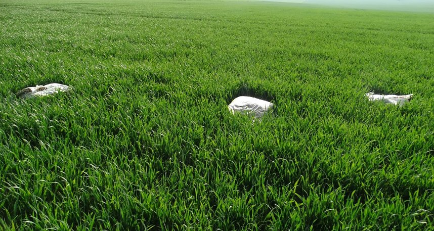 Illegale Entsorgung am Wanderweg