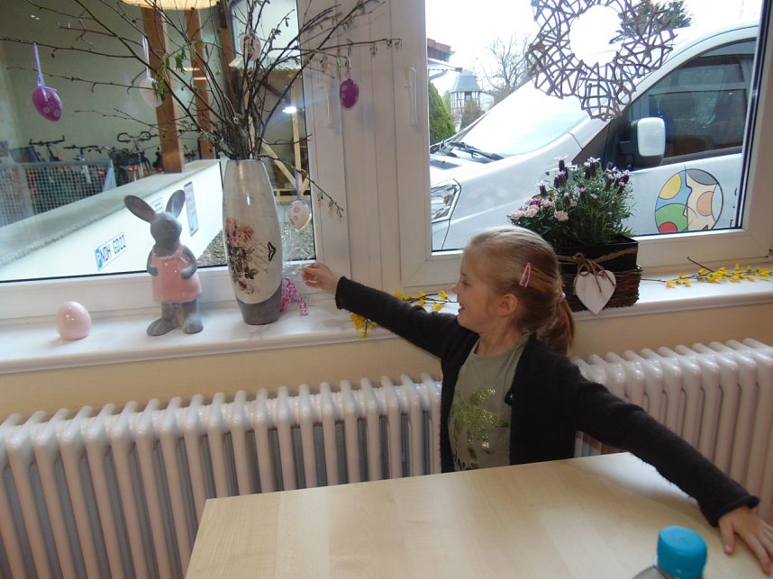 Neues aus dem Sonnenhof