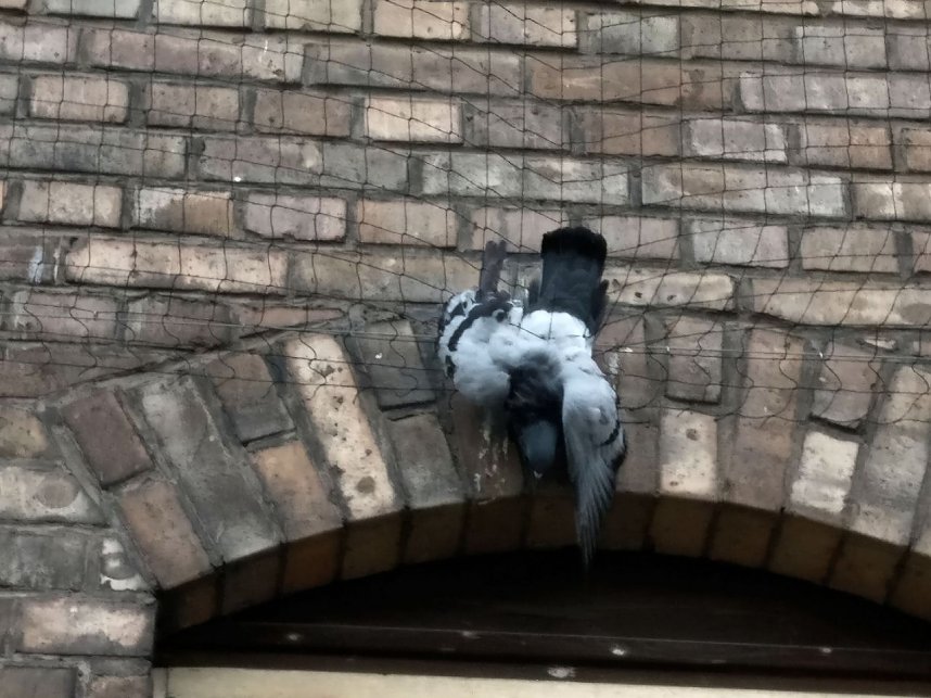 Hier muss gehandelt werden