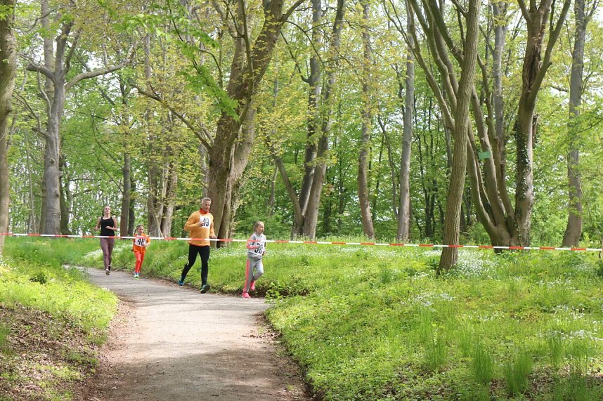 1. Heinrich-Siesmayer-Ged&auml;chtnislauf im Park Hohenrode