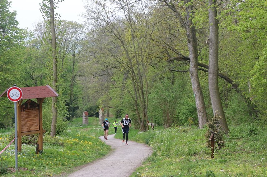 1. Heinrich-Siesmayer-Ged&auml;chtnislauf im Park Hohenrode