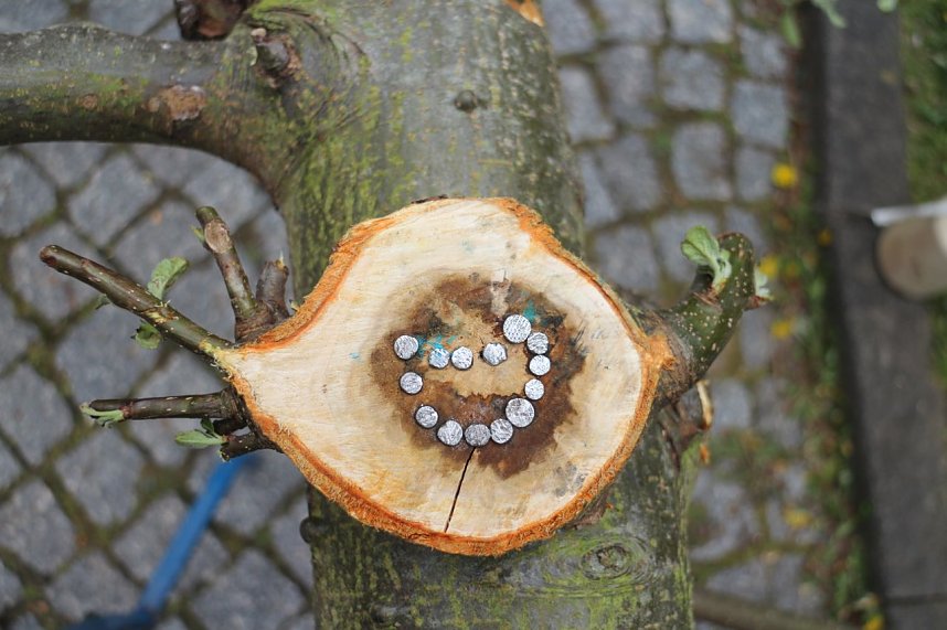 Jugendkunstschultag in Nordhausen