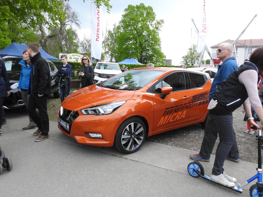 Autofr&uuml;hling auf dem Petersberg