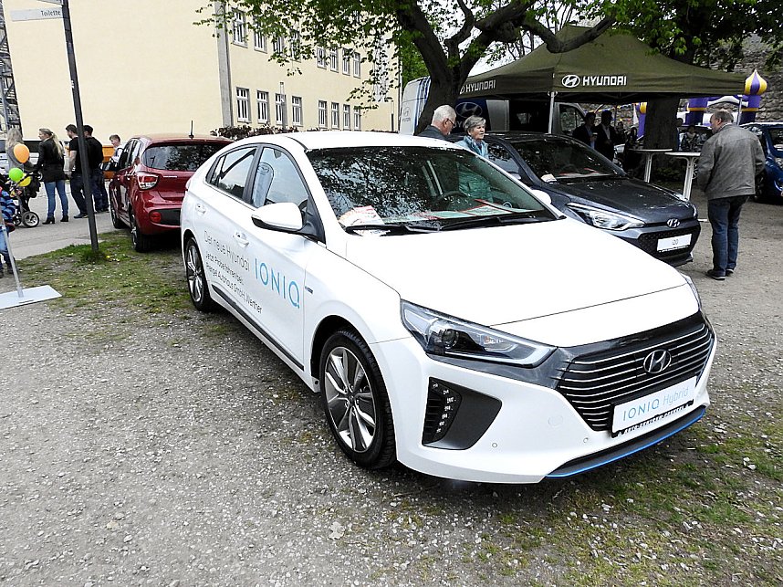 Autofr&uuml;hling auf dem Petersberg