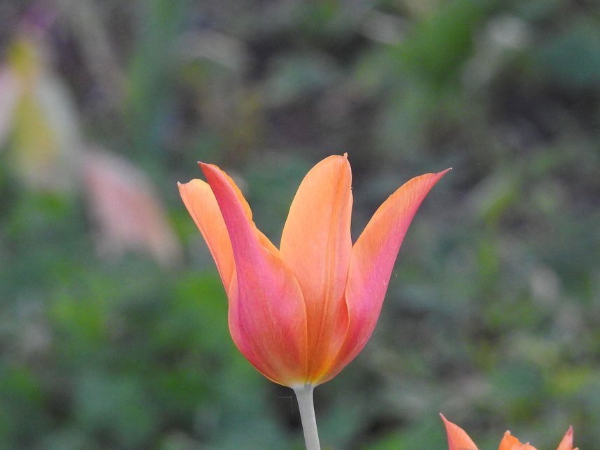 Farbtupfer auf dem Petersberg