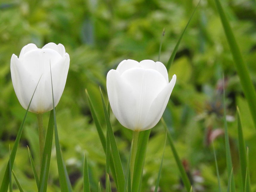 Farbtupfer auf dem Petersberg