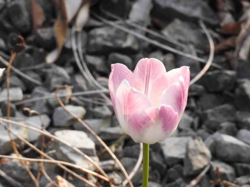 Farbtupfer auf dem Petersberg