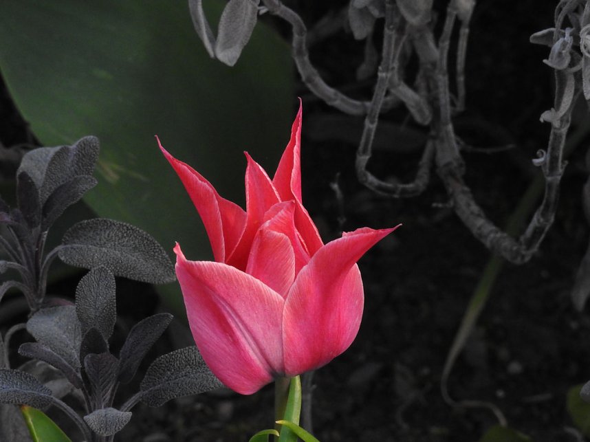 Farbtupfer auf dem Petersberg