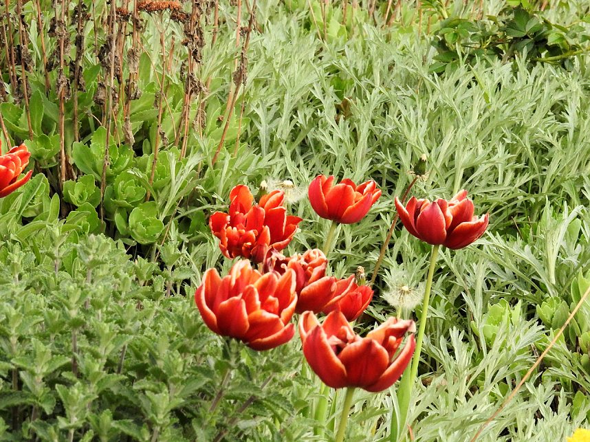 Farbtupfer auf dem Petersberg