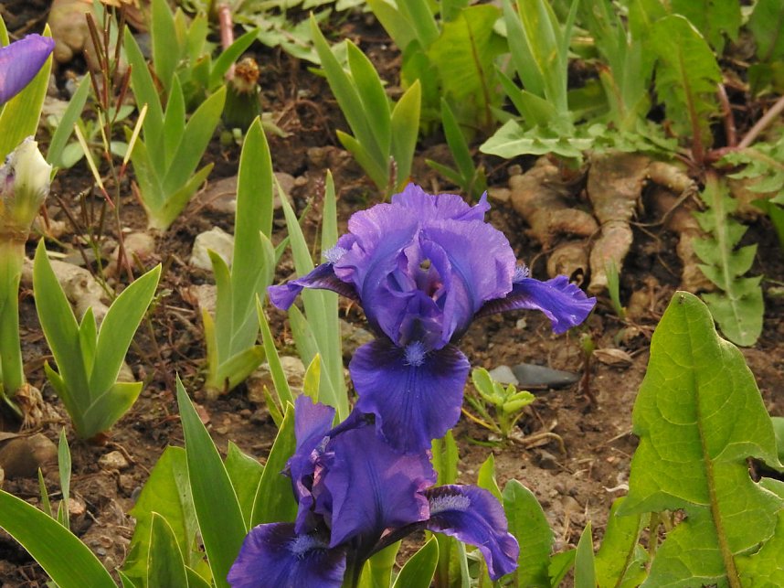 Farbtupfer auf dem Petersberg