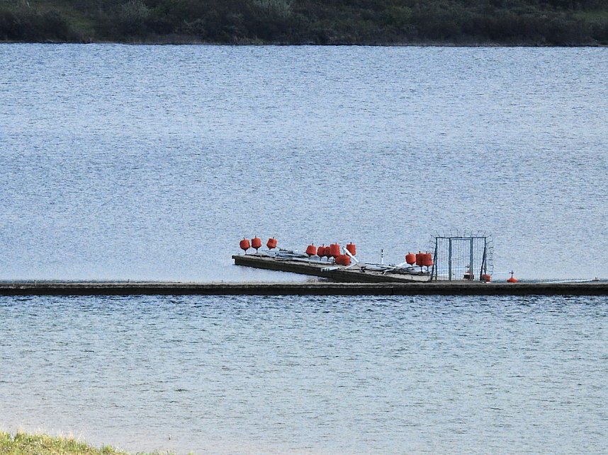 Peter Blei zu Besuch am Concordia See