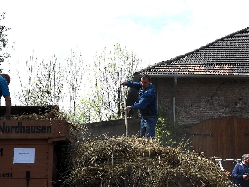 Schleppertreffen in Heringen