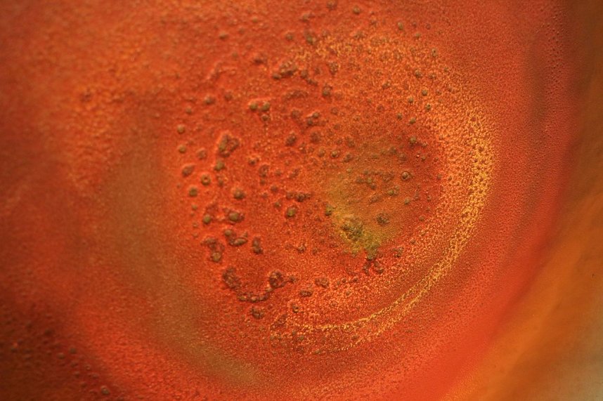 90. Geburtstag im Kunsthaus Meyenburg