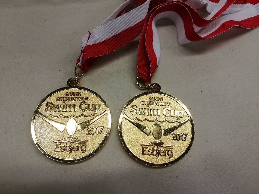 Tolle Leistungen des Nordh&auml;user Schiwmmnachwuchs