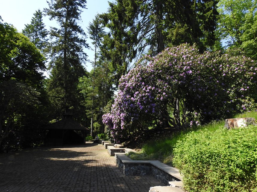 22. Rhododendronfest in S&uuml;lzhayn