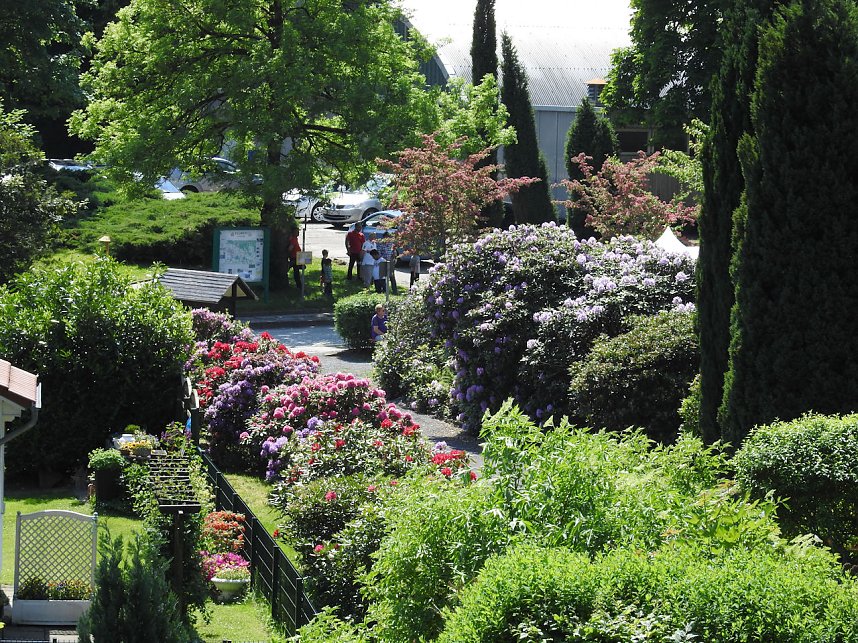 22. Rhododendronfest in S&uuml;lzhayn