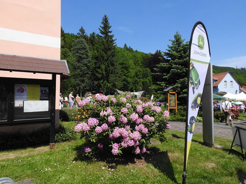 22. Rhododendronfest in S&uuml;lzhayn