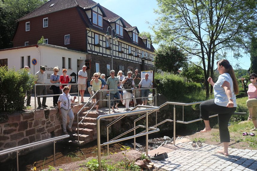 Waldbad Neustadt startet in die Saison