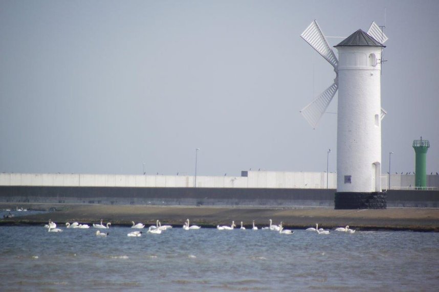 Auf Entdeckungstour in Swinem&uuml;nde