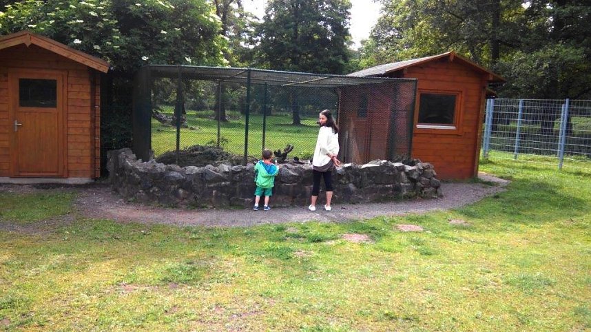 Der Streichelzoo ist nicht nur f&uuml;r Kinder interessant.