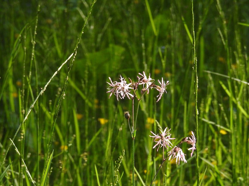 Peter Blei unterwegs im Harz