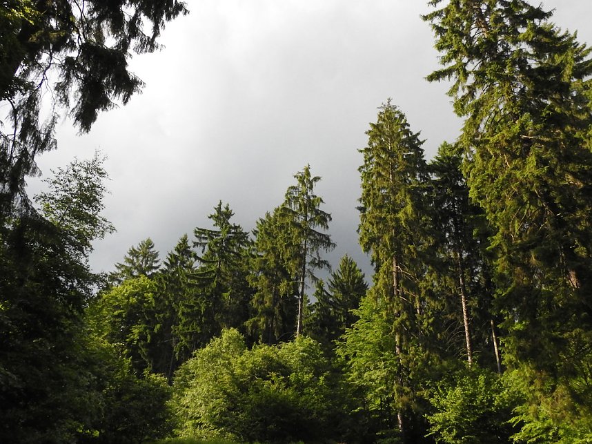 Peter Blei unterwegs im Harz