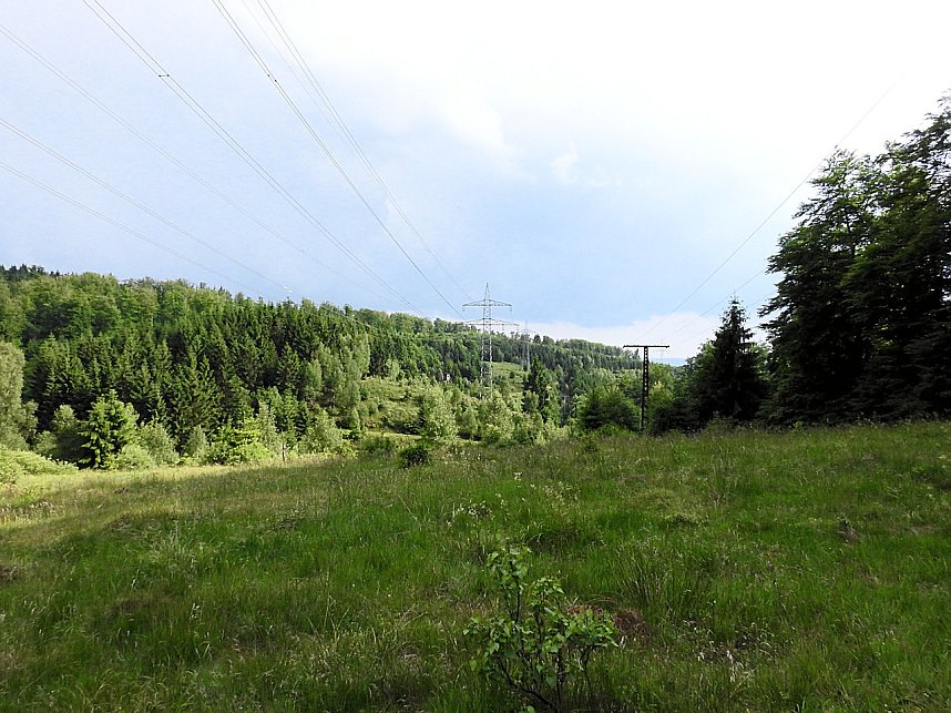Peter Blei unterwegs im Harz