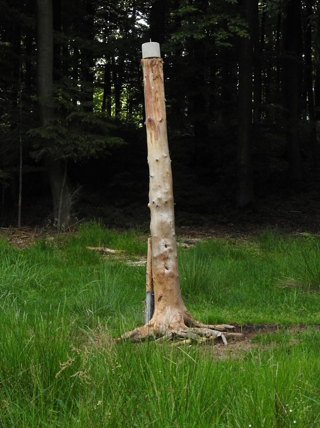 Peter Blei unterwegs im Harz