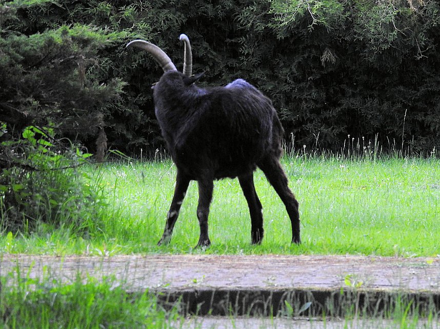 Peter Blei unterwegs im Harz