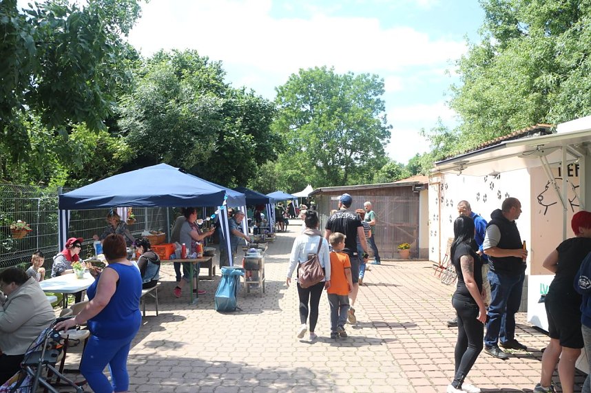 1. Sommerfest im Nordh&auml;user Tierheim