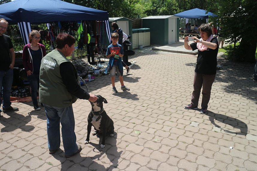 1. Sommerfest im Nordh&auml;user Tierheim