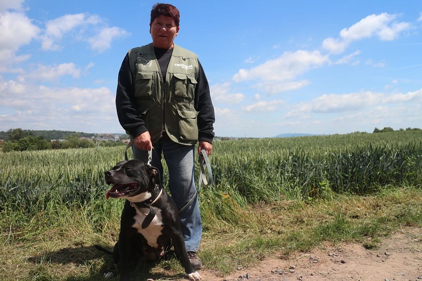 1. Sommerfest im Nordh&auml;user Tierheim