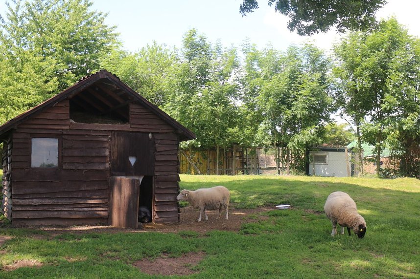 1. Sommerfest im Nordh&auml;user Tierheim