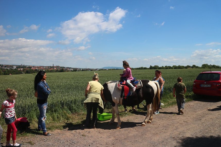 1. Sommerfest im Nordh&auml;user Tierheim