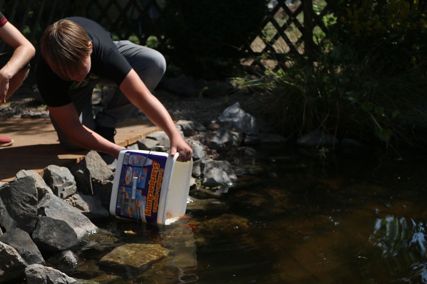 Teich, Z&auml;une, B&auml;ume - kurz vor den Ferien hat man sich am F&ouml;rderzentrum Pestalozzi nochmal richtig ins Zeug gelegt