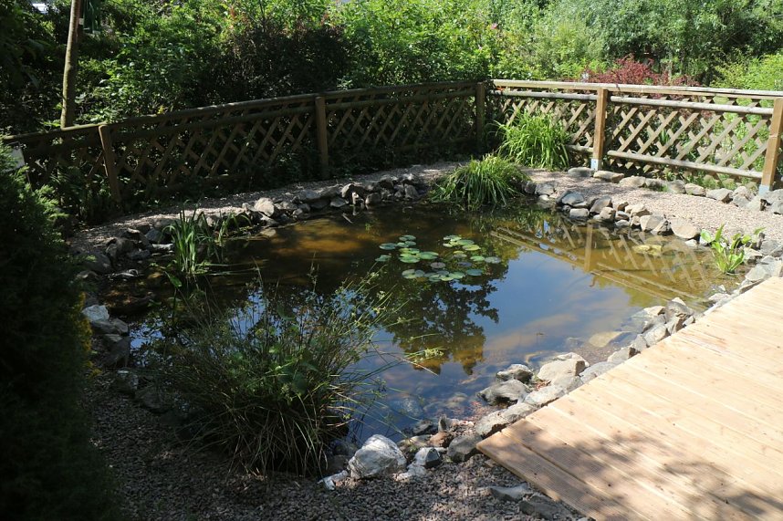 Teich, Z&auml;une, B&auml;ume - kurz vor den Ferien hat man sich am F&ouml;rderzentrum Pestalozzi nochmal richtig ins Zeug gelegt