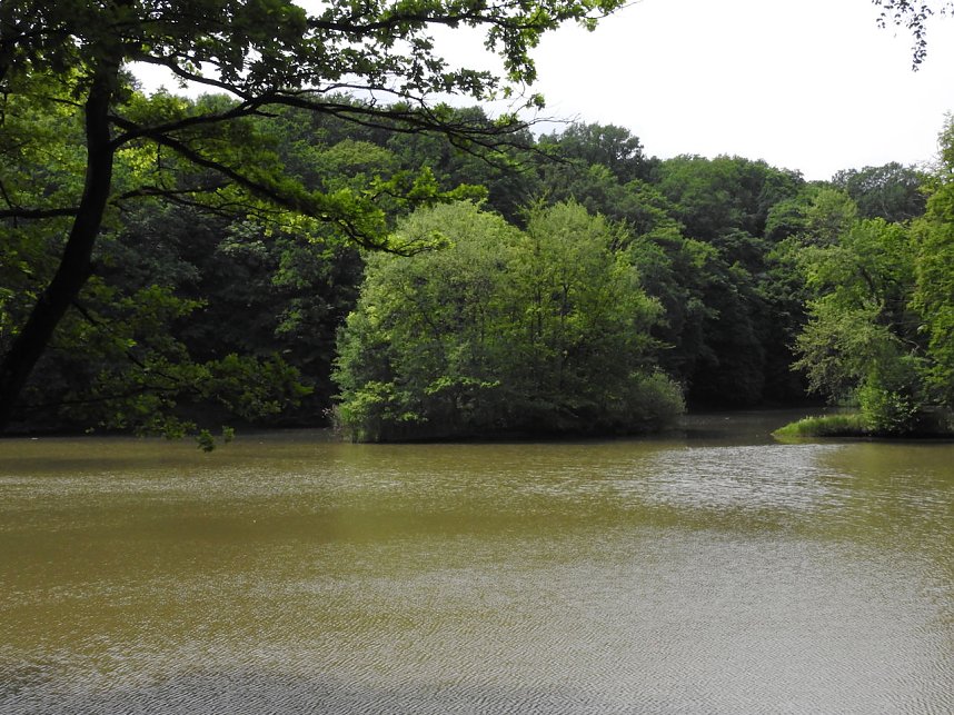 Kleine Sensation am Wiesenteich bei Liebenrode