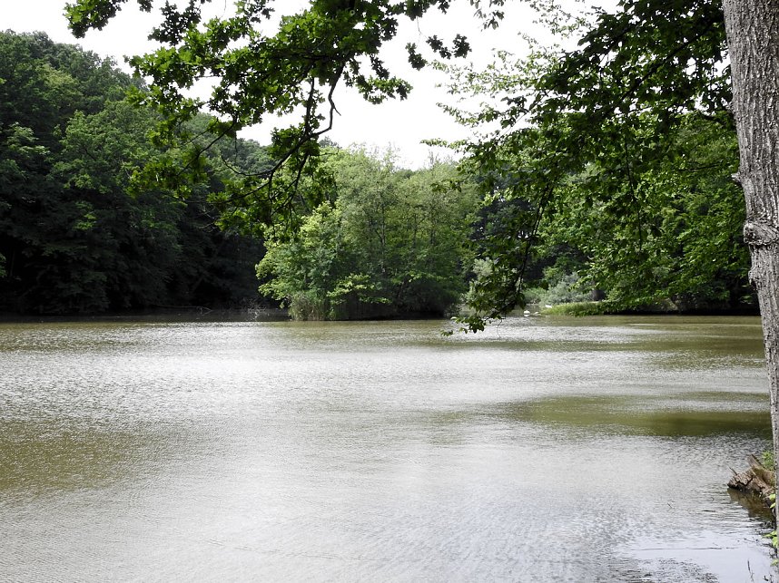 Kleine Sensation am Wiesenteich bei Liebenrode