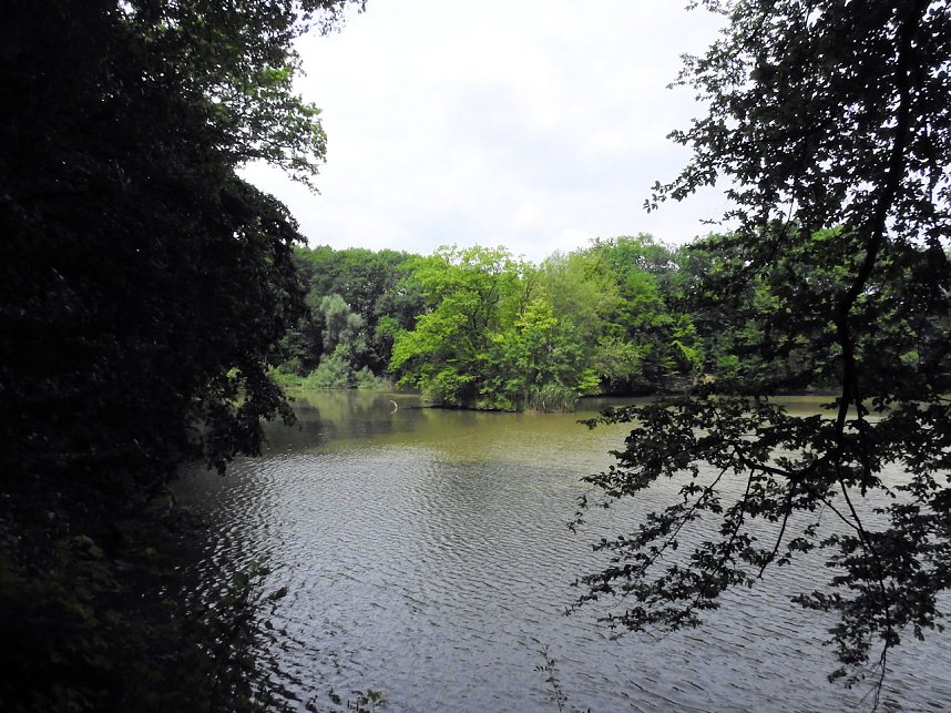 Kleine Sensation am Wiesenteich bei Liebenrode