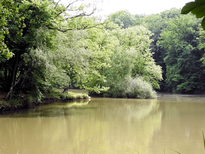 Kleine Sensation am Wiesenteich bei Liebenrode
