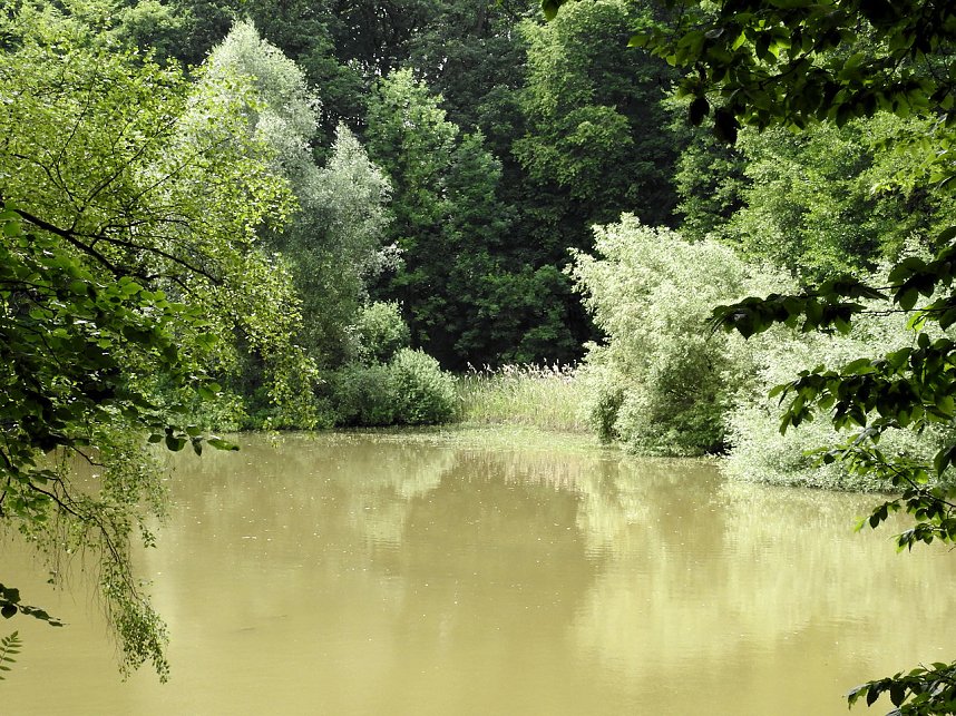 Kleine Sensation am Wiesenteich bei Liebenrode