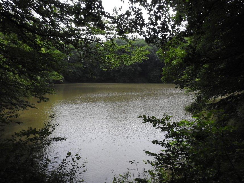Kleine Sensation am Wiesenteich bei Liebenrode
