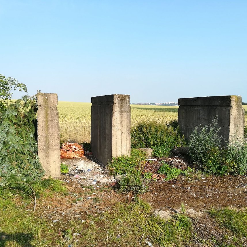 Wieder Schlachtabf&auml;lle entsorgt