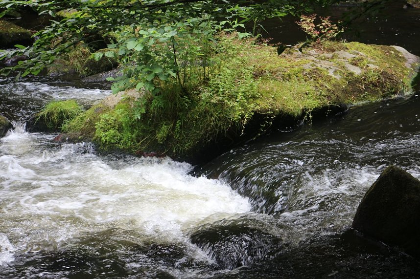 Sonntagswanderung bei Thale