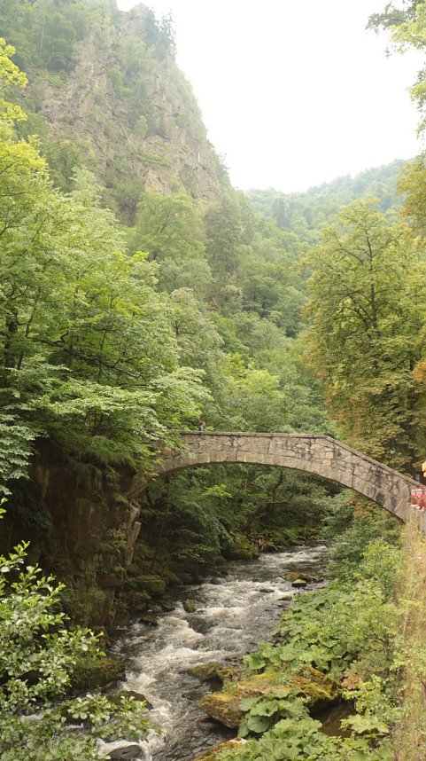 Sonntagswanderung bei Thale