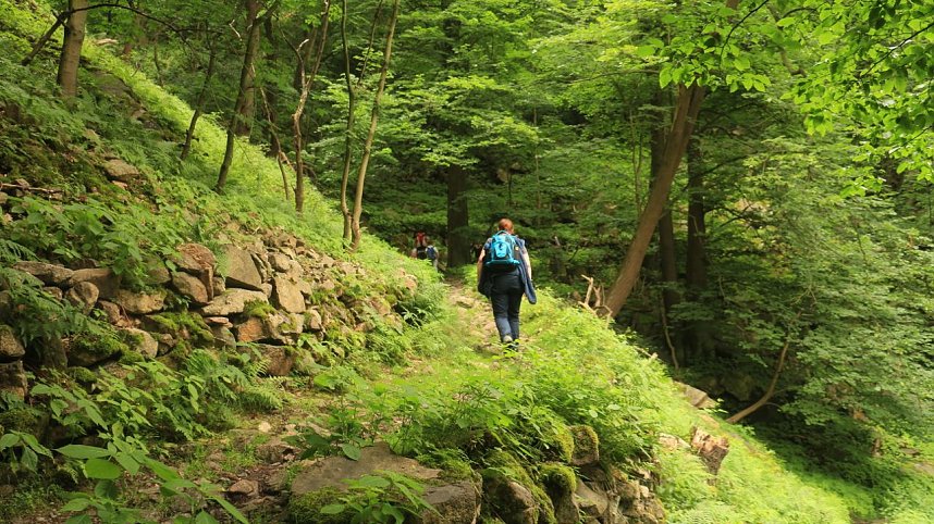 Sonntagswanderung bei Thale