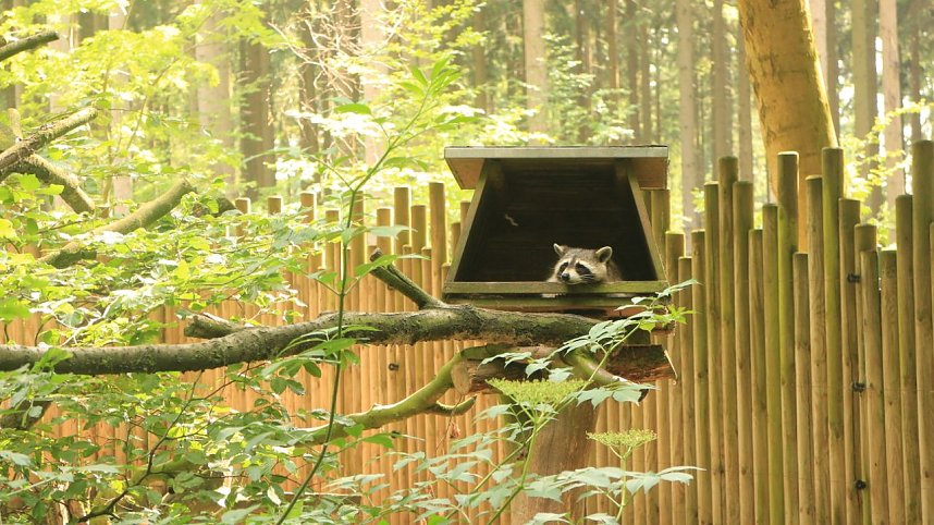 Sonntagswanderung bei Thale