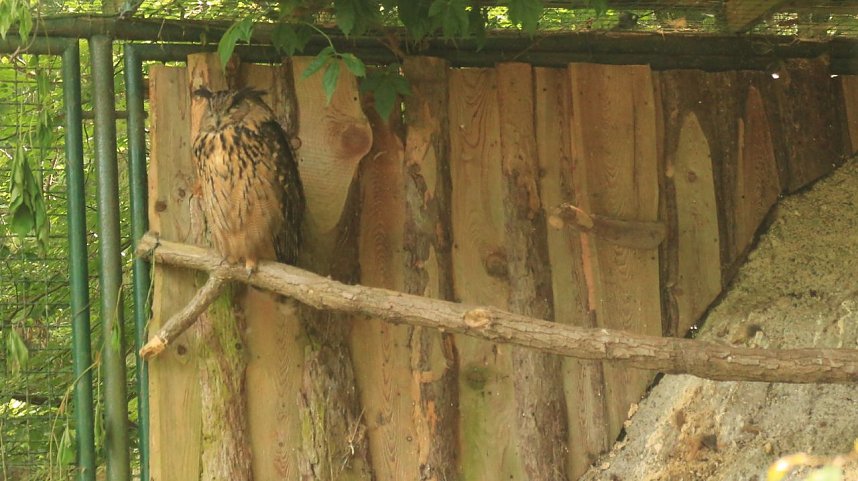 Sonntagswanderung bei Thale