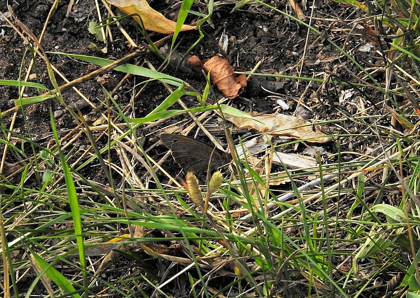 Am Boden und in der Luft